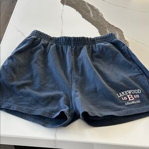 Brandy Melville Navy Athletic Shorts